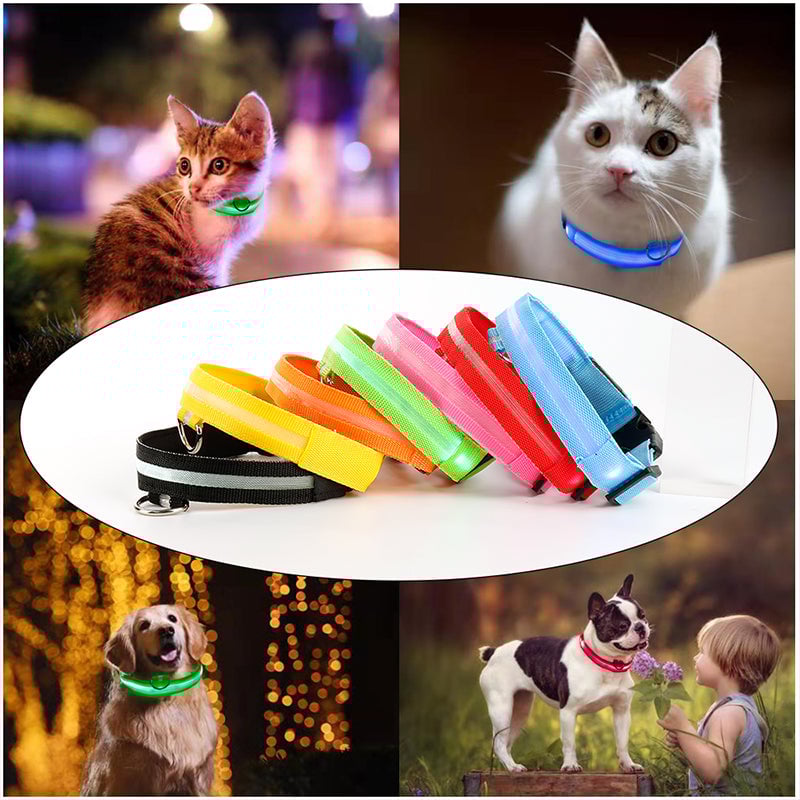 LED-Halsband