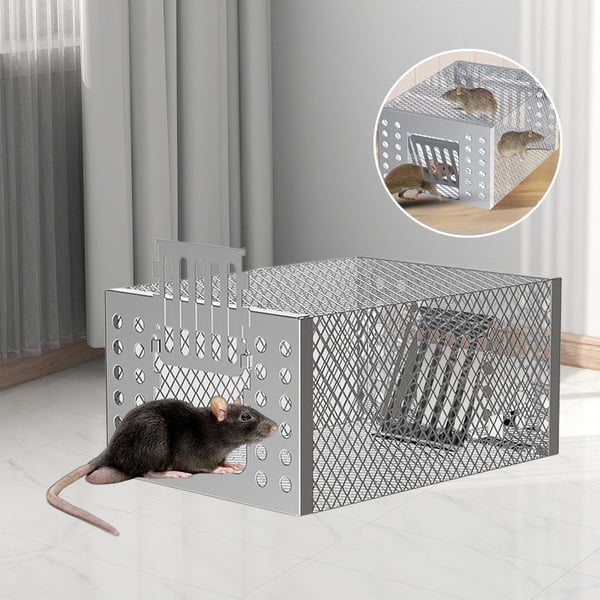 fm_1_06753936-65ef-4370-a0af-d1544a2baed8