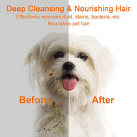 bc836d2d-57bc-4dc8-247b-a183719eb700