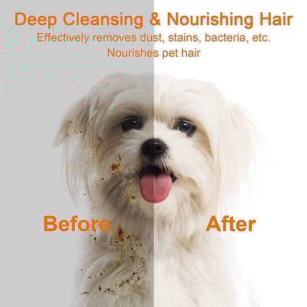 bc836d2d-57bc-4dc8-247b-a183719eb700