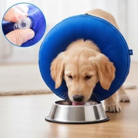 Inflatable Pet Cone Collar