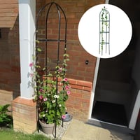 Garden Trellis for Climbing Plants