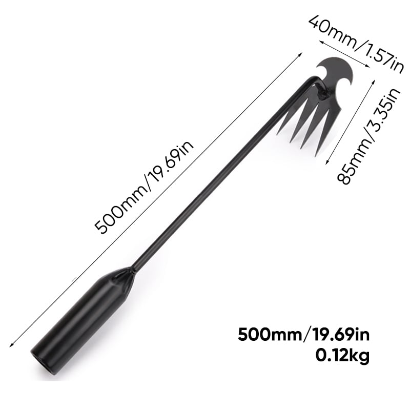 电泳50cm.jpg