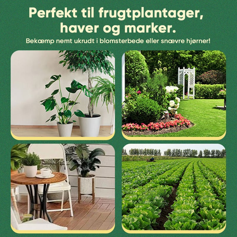 6_7fb0197a-2cab-4e96-9928-d09a084d06bc