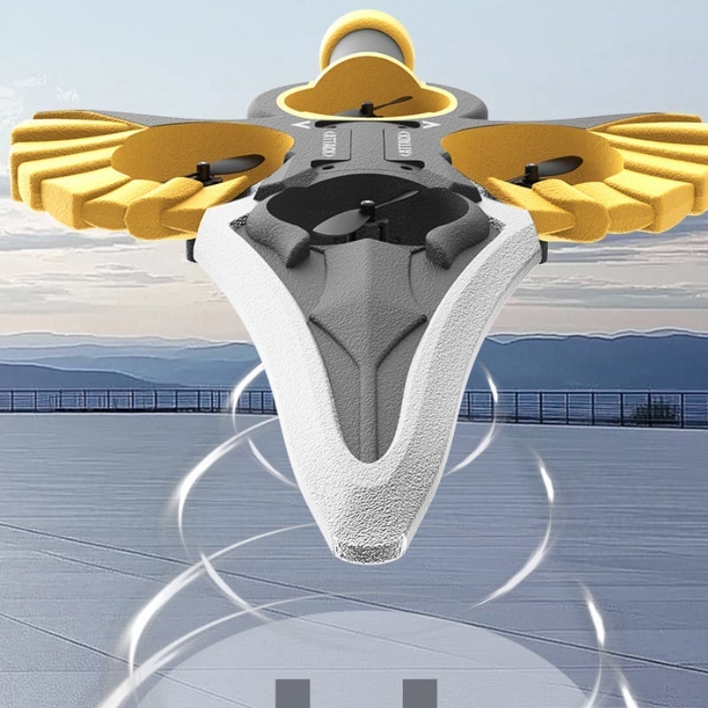 Flying Sword RC Glider
