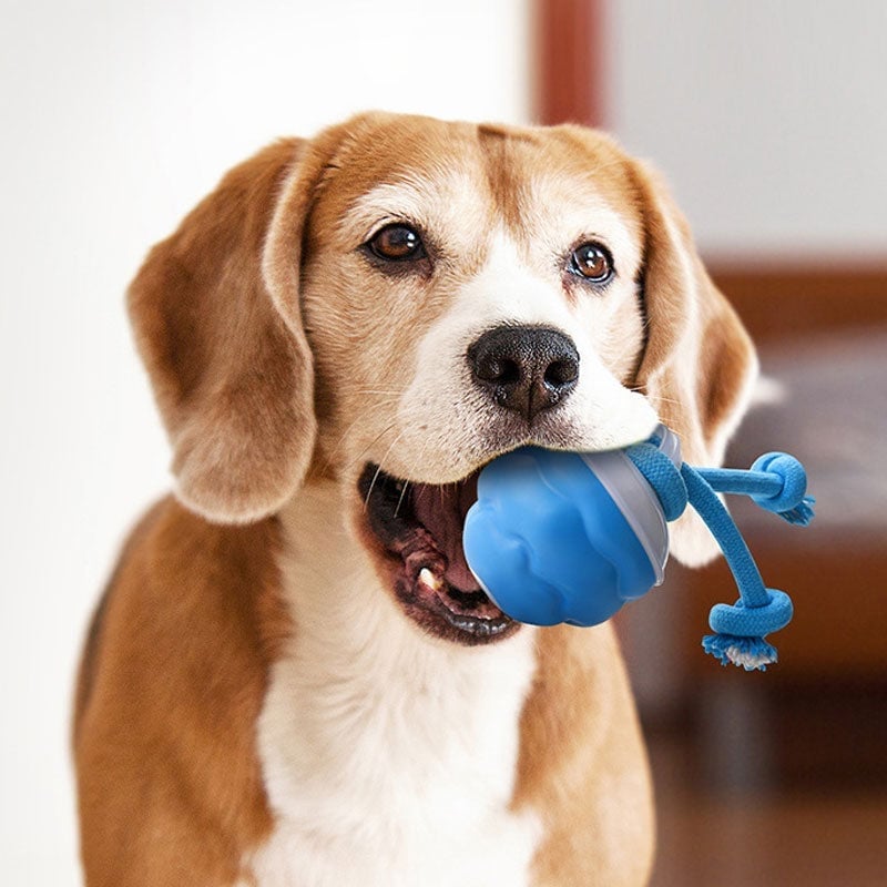 Interactive Smart Rolling Pet Ball
