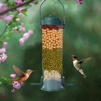 🐦Mangiatoia per uccelli a prova di scoiattolo
