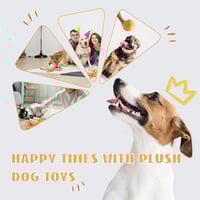 5_7e2d43bc-8f2c-4f9f-888d-a658101bb2dc