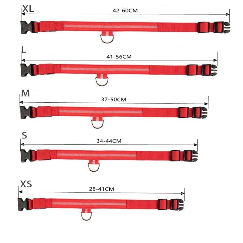 LED-Halsband