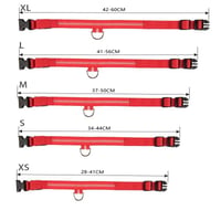 LED-Halsband