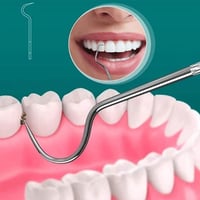 Juego de Palillos de Dientes de Acero Inoxidable