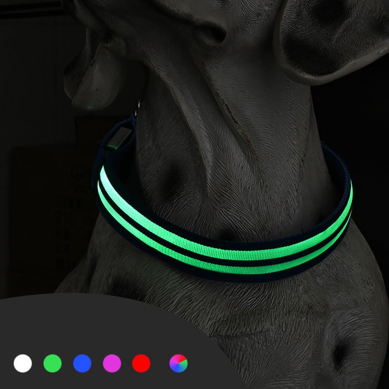 Dual Fiber Nighttime Luminous Dog Collar
