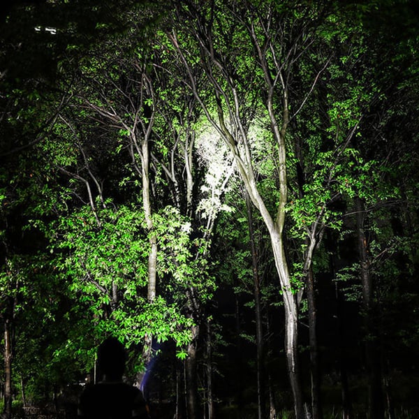 1_1_98668976-72ab-4a97-9943-ee3b4b376ccd