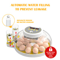 Egg Incubator