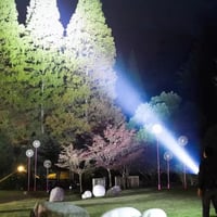 01_420f264a-b5d4-4900-9c17-19ab00719346