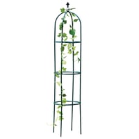 Garden Trellis for Climbing Plants
