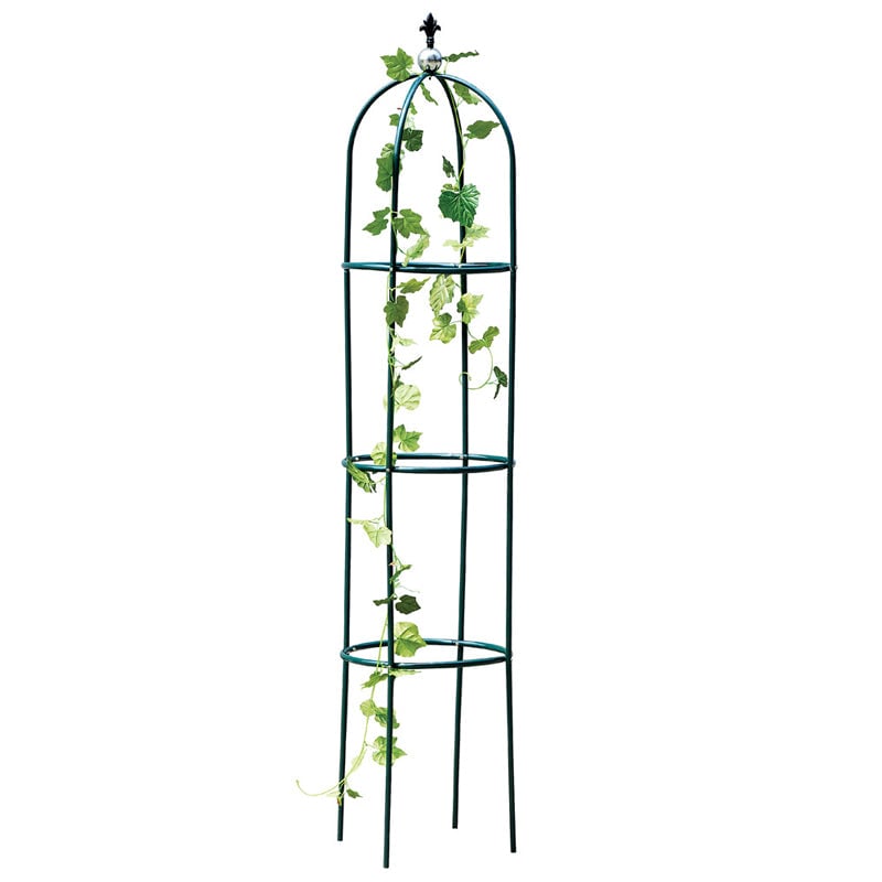 Garden Trellis for Climbing Plants