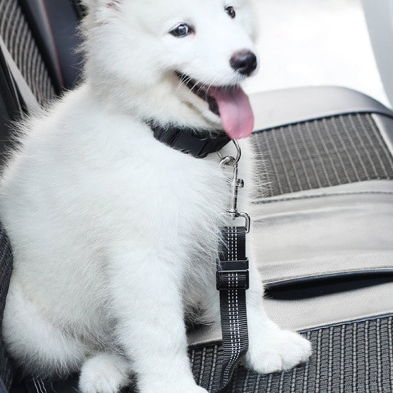 c130ef0d-c570-46d8-8082-0de882616700