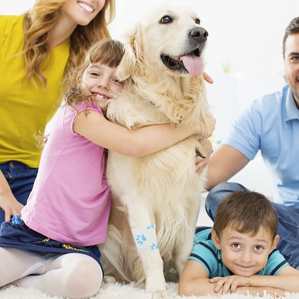 Nastro adesivo per animali domestici