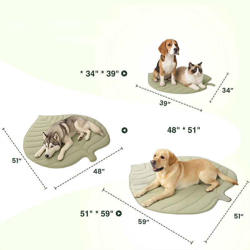 11_878696ef-ba7f-4d71-b81c-d5717067aeb6