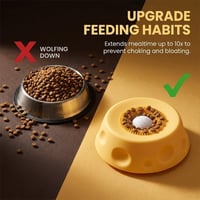 Pet Slow Feeder & Lick Bowl