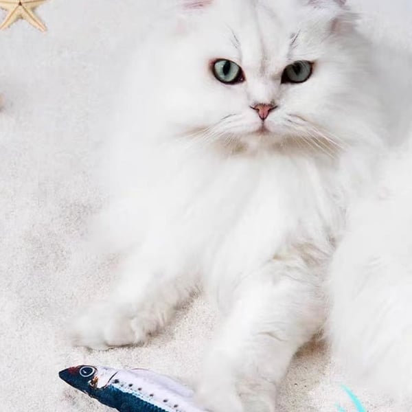 6592cf50-5ad2-4084-7e85-031aff236300