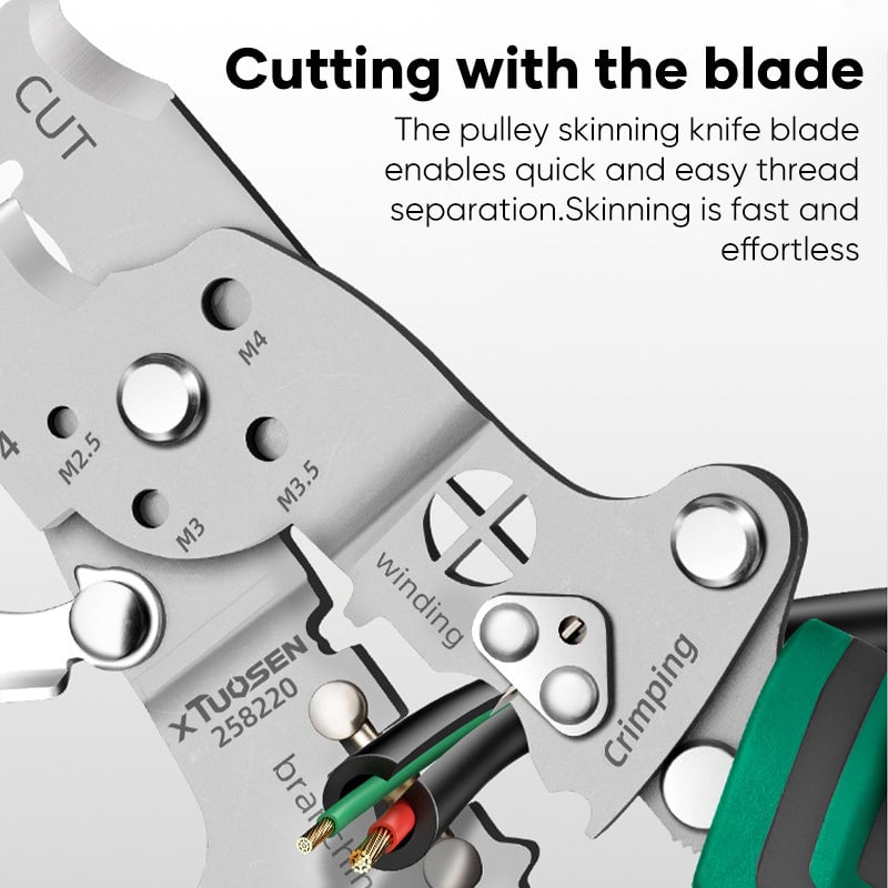 5_c62ce0ce-2afc-4865-ac3a-2c1cd2a5c571