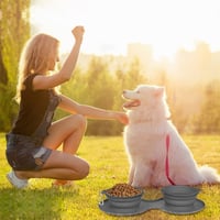 Set Da Pranzo Per Cani Da Viaggio Pawfun