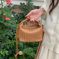 Casual Straw Woven Handbag for Women