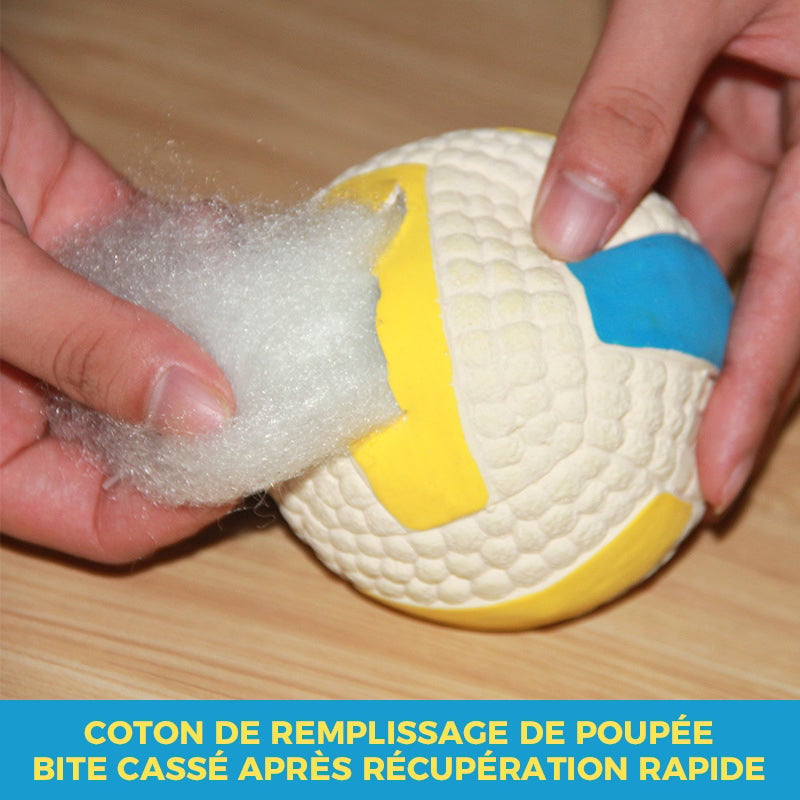 Jouet immortel pour mâcheurs agressifs