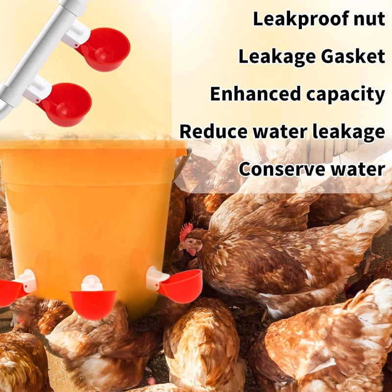 Automatic Chicken Water Cups (6 pcs)