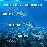 Bionic Swimming Lures Set