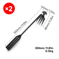 电泳30cm2.jpg