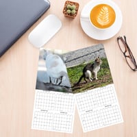Katteafskræk kalender