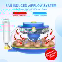 18-Egg Incubator