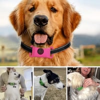 12 Months Flea and Tick Free