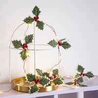 Kerstmis Dennenappel & Moerbei Decoratieve String Light