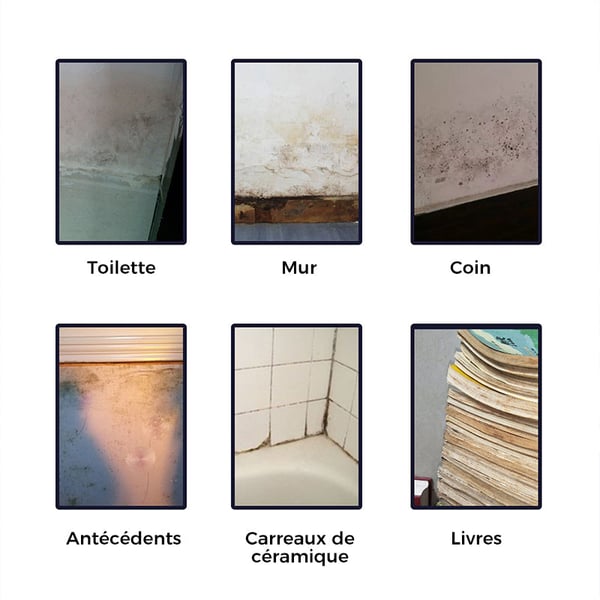 4_4aad44de-280e-4e5d-8bde-2a4f42e4ac57