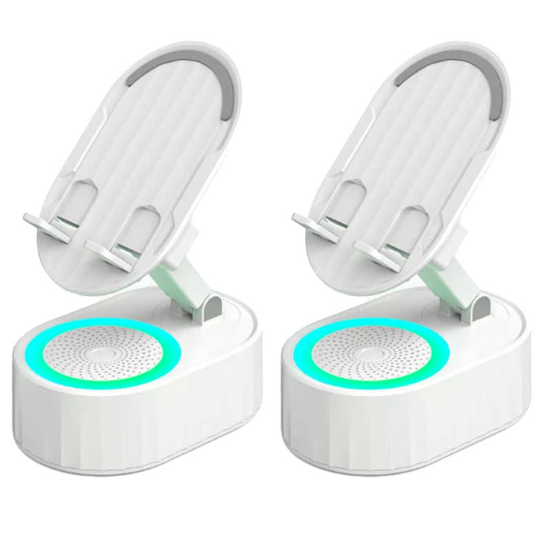 Induction bracket speaker