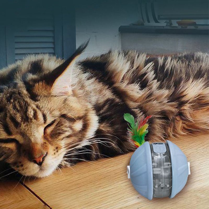 Intelligenter Pet Self-Play Spielball (Upgrade-Version)