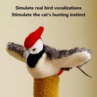 【Sale】Imitation Bird Cat Toys
