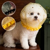 画板 10.jpg