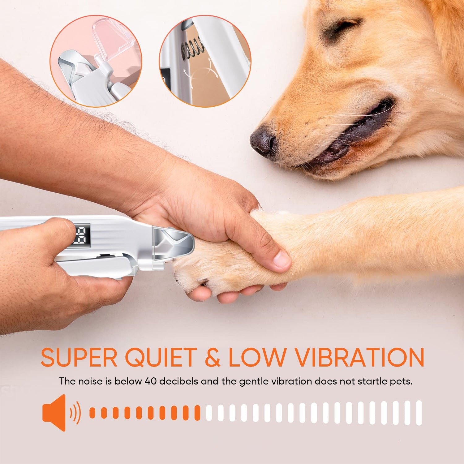 2_bf529146-2879-497c-b6ca-502e32ec0bb1