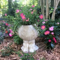 Funny Expression Flowerpot