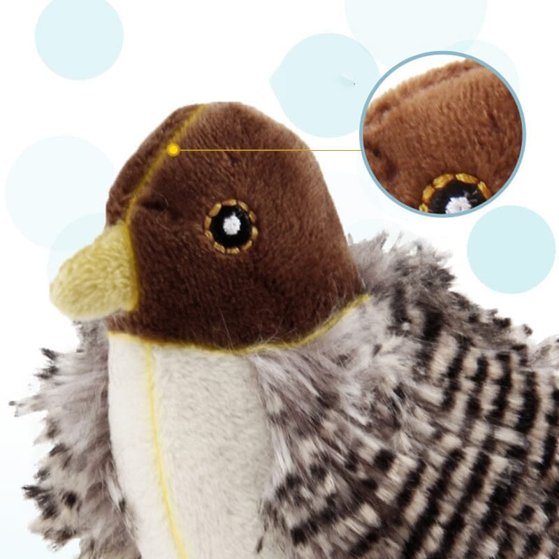 😺Simulated Chirping Bird😺