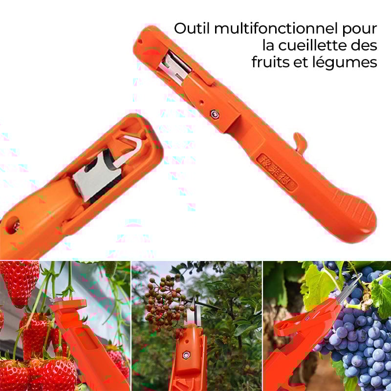 Outils efficaces de collecte de poivre