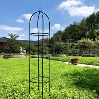 Garden Trellis for Climbing Plants