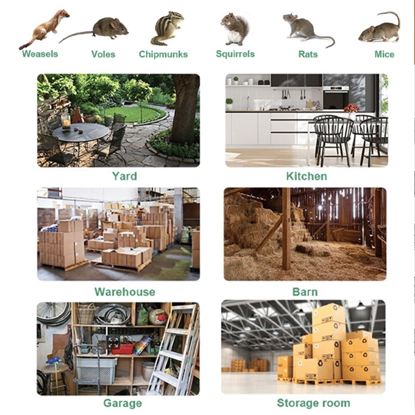 Stainless Steel Automatic Mousetrap