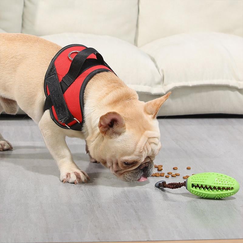 DOG TOOTHBRUSH TOY