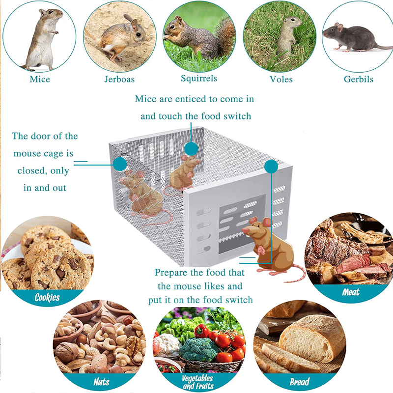 c94c2acd-0c5e-48e4-3483-c57066849300